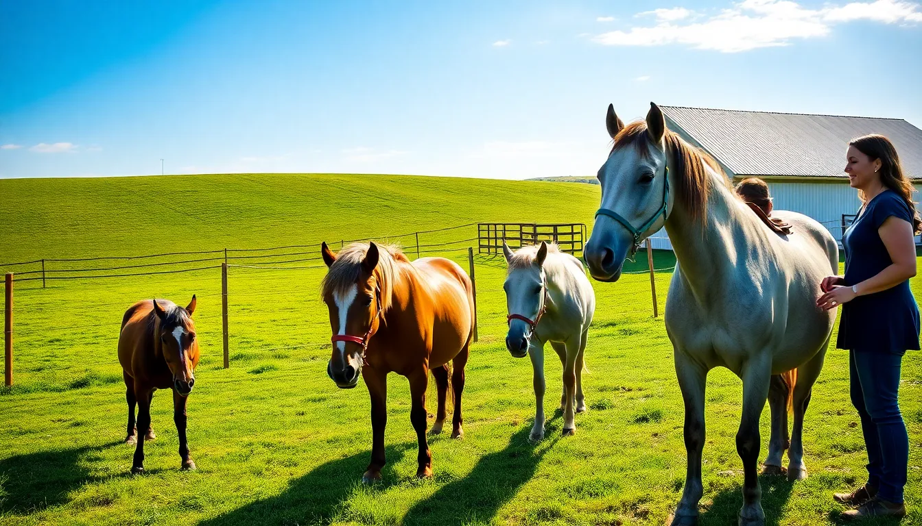 elderly horses in a peaceful retirement home setting.