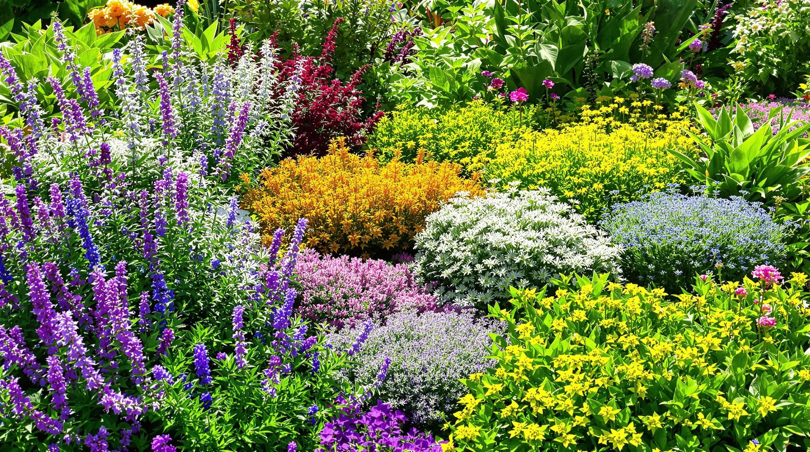15 Best Low Growing Perennials for a Gorgeous, Weed-Free Garden 8 IukrFWzeRLICWXzgft vb99uFsam7VdG
