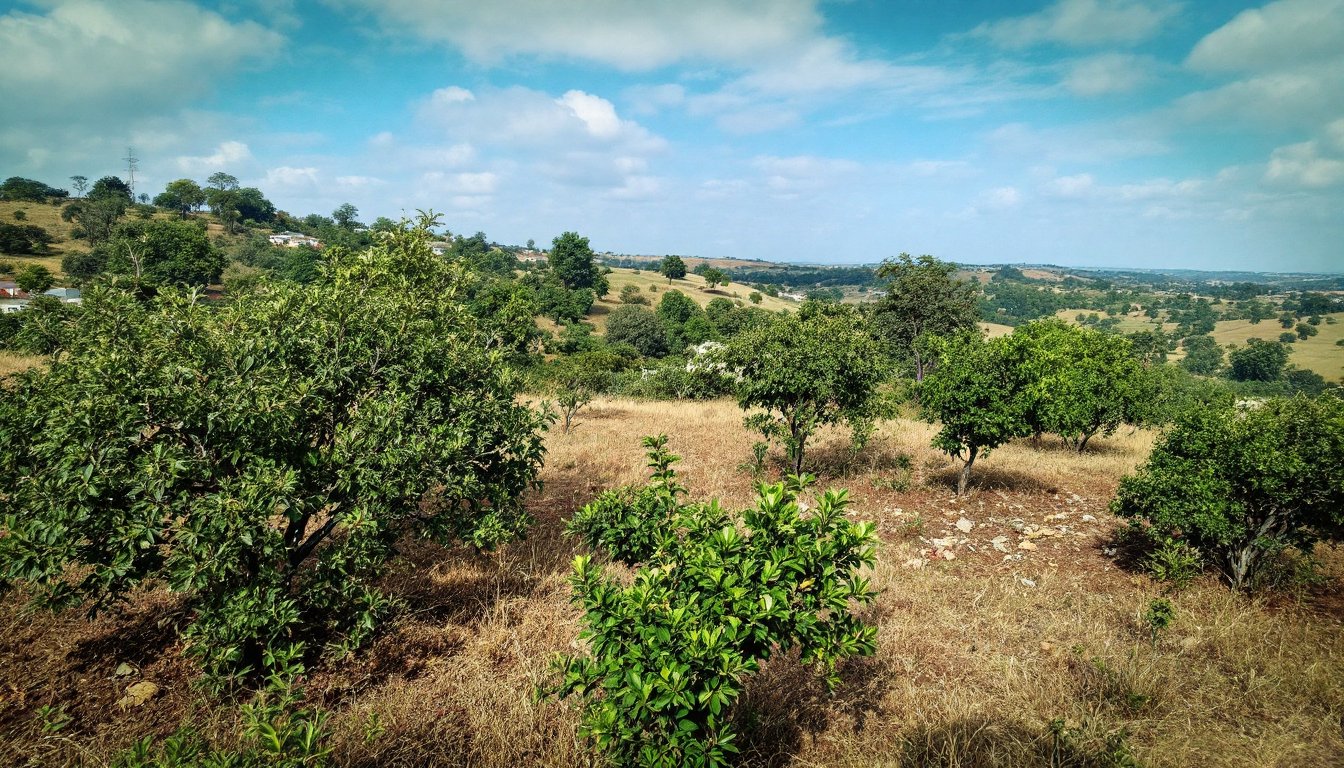 Woman holding warm water in a peaceful, sunlit minimalist kitchen at morning.