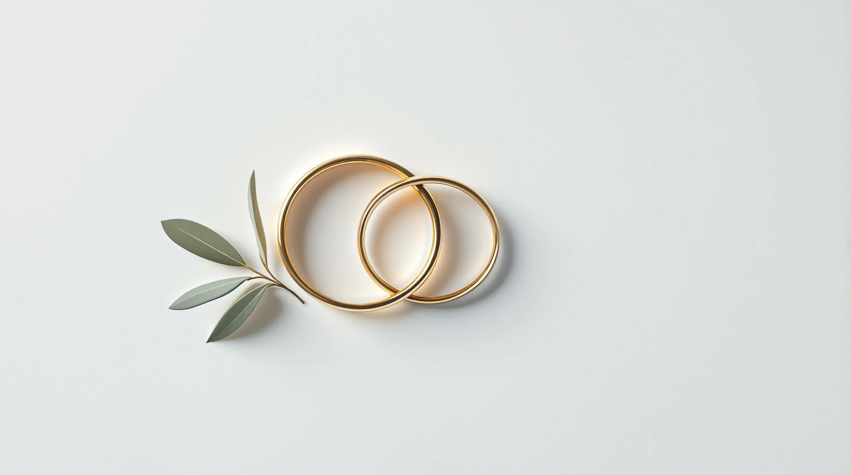 Two simple wedding rings with an olive branch on a white background.