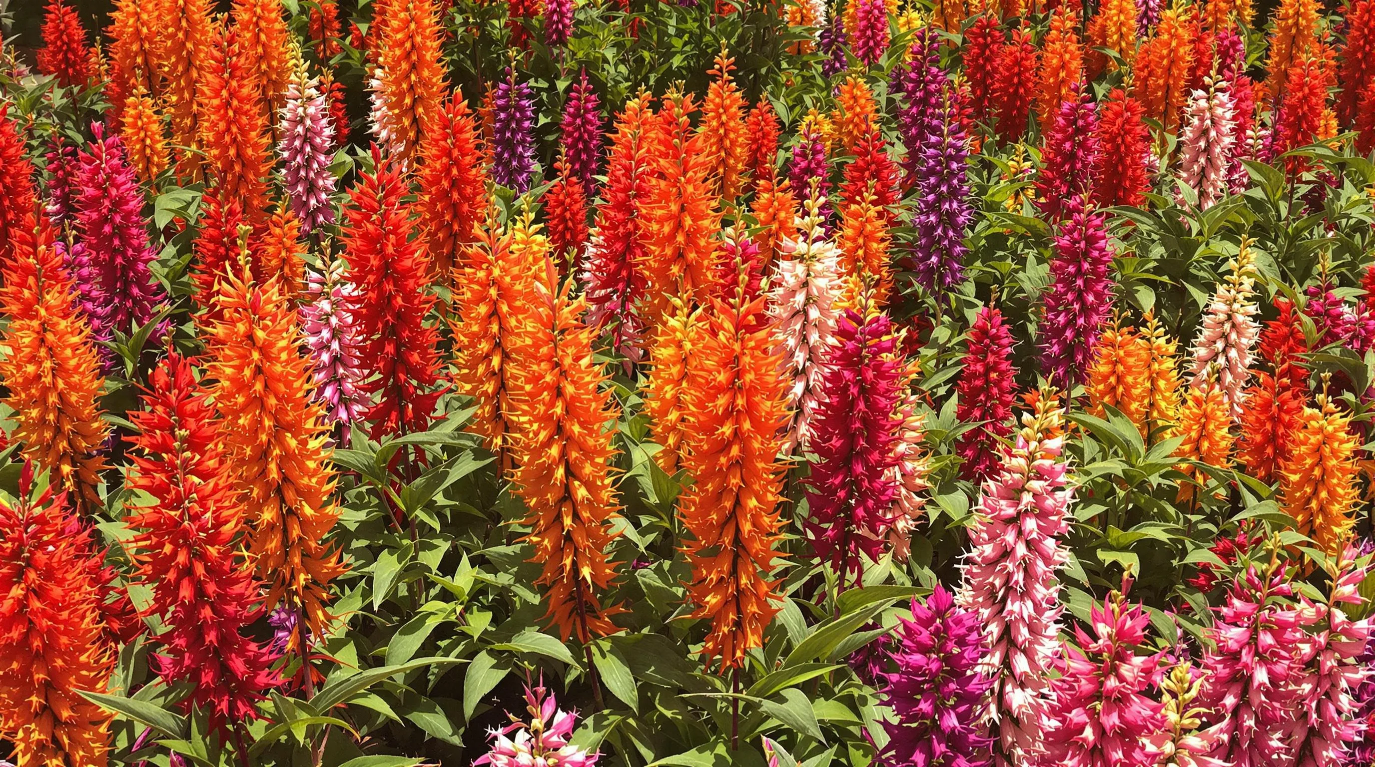 u2cyFqMi2f1y kN83YD25g8O84LsJ cv